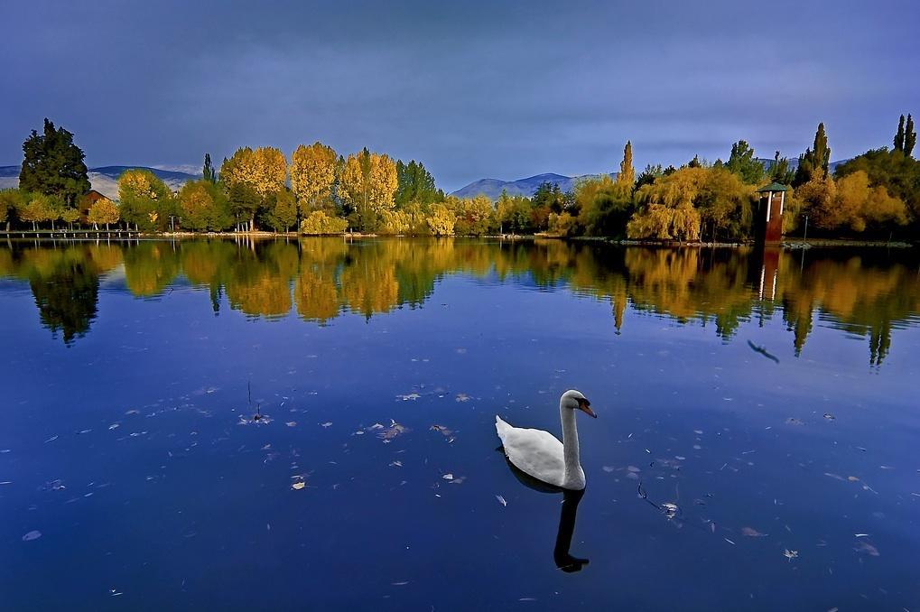 Hotel Del Lago Puigcerdà Dış mekan fotoğraf